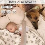 5-in-1 Thick Plush Baby Play Gym Baby Play Mats for Floor Tummy Time Mat with 6 Toys Cat Bed Dog Bed Convertible Stage-Based Developmental from Baby to Toddler Ball Pit | Babyz Corner