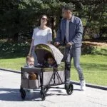 Jeep Sport All-Terrain Stroller Wagon by Delta Children - Includes Canopy Parent Organizer Adjustable Handlebar Snack Tray Cup Holders GreyOlive Green | Babyz Corner