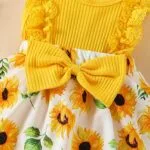 Baby Girl Clothes Newborn Romper Dress Infant Lace Ruffle Sleeveless Summer Outfits with Headband 0-12 Months | Babyz Corner