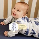 Burt's Bees Baby Beekeeper Infant Wearable Blanket, 100% Organic Cotton Unisex, Girl, Boy Swaddle Transition Sack - Light Weight 0.5 TOG or Medium Weight 1.5 TOG - Newborn...