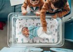 GRSSDER Stretchy Ultra Soft Fitted Bassinet Sheet Set 2 Pack, Universal Fit for Bassinets Baby Cradle Moses Basket Oval Rectangle Pad/Mattress, Happy Dinosaurs Bassinet Sheets...