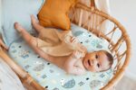 GRSSDER Stretchy Ultra Soft Fitted Bassinet Sheet Set 2 Pack, Universal Fit for Bassinets Baby Cradle Moses Basket Oval Rectangle Pad/Mattress, Happy Dinosaurs Bassinet Sheets...
