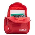 Sonic The Hedgehog Backpack, Knuckles 16 Inch Schoolbag with 3D Features, Red