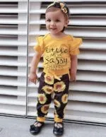 Baby Girl Ruffle Romper +Pants + Headband 3 PCS Outfits Set