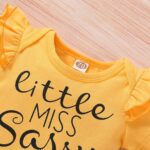 Baby Girl Ruffle Romper +Pants + Headband 3 PCS Outfits Set