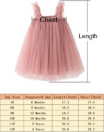 BGFKS Layered Tulle Tutu Dress for Toddler Girls,Baby Girl Rainbow Tutu Princess Skirt Set with Flower Headband.