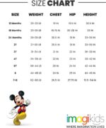 Disney Lion King Mickey Mouse Winnie the Pooh Toy Story Fleece Sweatshirt and Pants Outfit Set Newborn to Big Kid Sizes