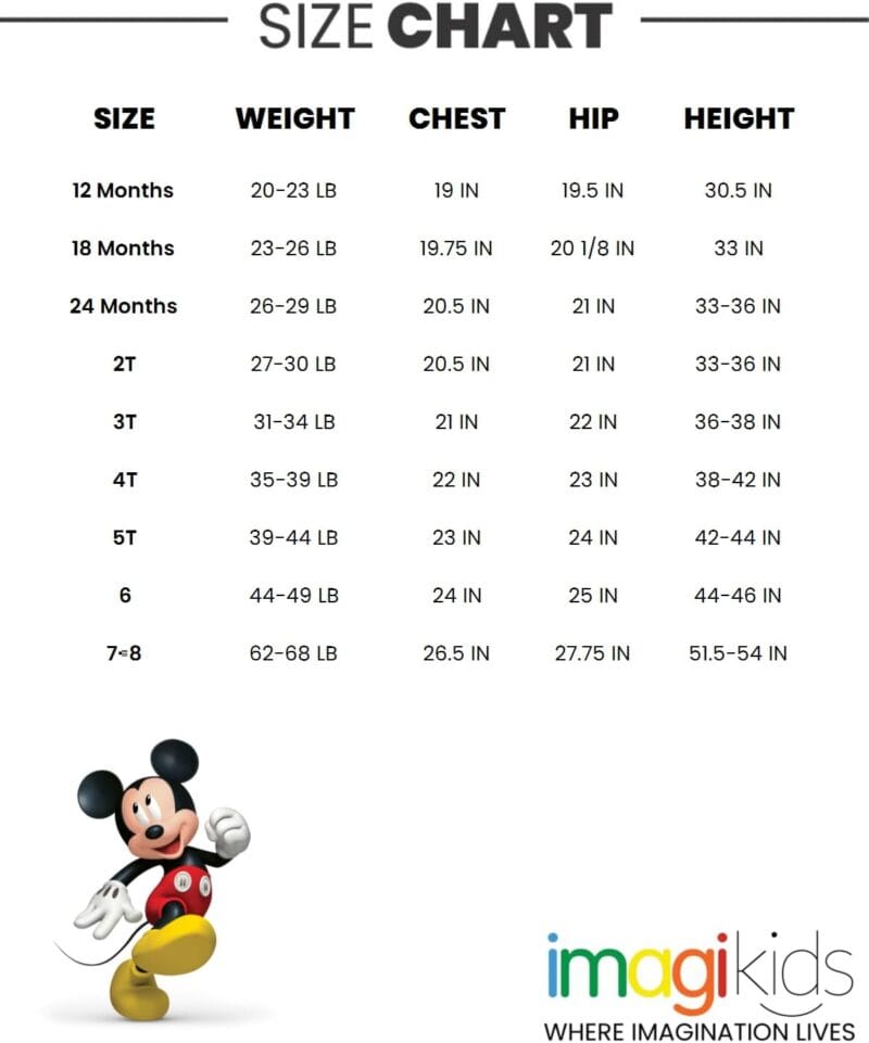 Disney Lion King Mickey Mouse Winnie the Pooh Toy Story Fleece Sweatshirt and Pants Outfit Set Newborn to Big Kid Sizes