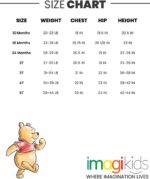 Disney Lion King Mickey Mouse Winnie the Pooh Toy Story Fleece Sweatshirt and Pants Outfit Set Newborn to Big Kid Sizes