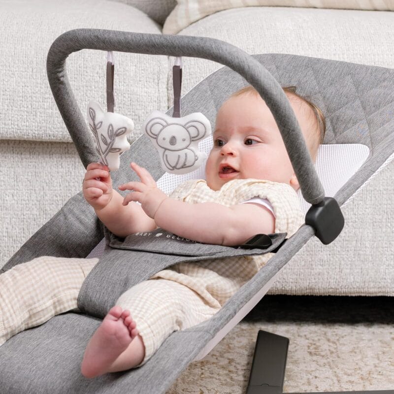 Baby Delight Alpine Deluxe Portable Bouncer | Infant | 0 – 6 months | Charcoal Tweed